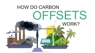 How Do Carbon Offsets Work?