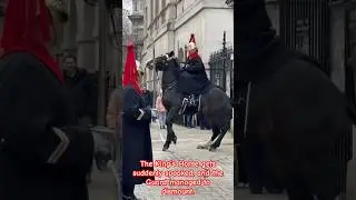 The King&rsquo;s Horse gets suddenly spooked, the Guard managed to dismount! #buckinghampalace #london