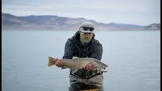 Fishing in Reno Tahoe - Pyramid Lake