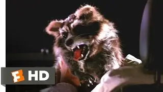 Harold & Kumar Go to White Castle - Rabid Raccoon Attack Scene (3/10) | Movieclips