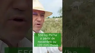 Alguns n&uacute;meros b&aacute;sicos para produ&ccedil;&atilde;o a pasto - Veja os outros v&iacute;deos neste canal e entenda melhor.
