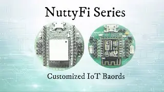 NuttyFi Series | Customized IoT and Power Automation Hardware Platform for real-world Application