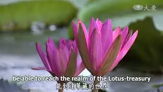 Wisdom at Dawn (Lotus Sutra) ep1275: Only Those in the Assembly Remained
