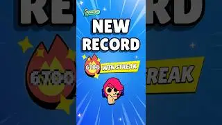 Highest Win Streaks Ever!