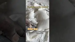 Cow ( Gau mata ) Marble Sculpture  | Hammer & Chisel working | #TrendingReels #ViralVideo #InstaArt