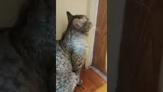 Живи ярко! 