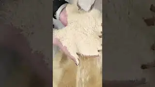 Poultry feed hammer mill grinding machine for animal
