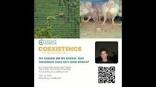 The elephant and the chicken: does coexistence really care about animals?