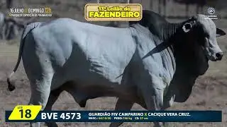 LOTE 18   BVE 4573