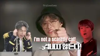 Mingi being a scaredy cat | How does he still have a voice??