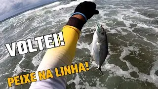 VOLTEI!!! Pescaria nas Pedras - Rockfishing