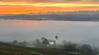 Murtensee Radtour 2022