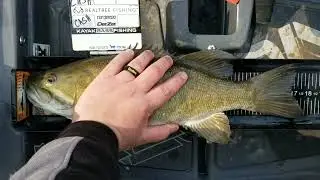 Smallmouth Bass Fishing on the Salamonie River