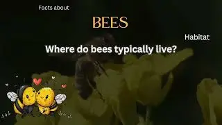 Bee Fact 4 - Where do bees typically live?