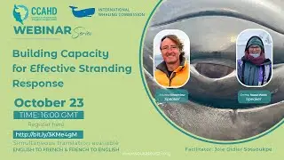webinar 𝐁𝐮𝐢𝐥𝐝𝐢𝐧𝐠 𝐂𝐚𝐩𝐚𝐜𝐢𝐭𝐲 𝐟𝐨𝐫 𝐄𝐟𝐟𝐞𝐜𝐭𝐢𝐯𝐞 𝐒𝐭𝐫𝐚𝐧𝐝𝐢𝐧𝐠 𝐑𝐞𝐬𝐩𝐨𝐧𝐬𝐞