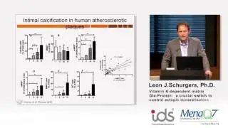 Vitamin K-dependent matrix Gia-Protein - Dr. Leon Schurgers