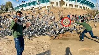 Aaj Road se racer pigeon paker liya😱😳 || how to catch pigeons ||