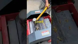 Watch till end &ndash; amazing results!#satisfying #feeding #machine #grass