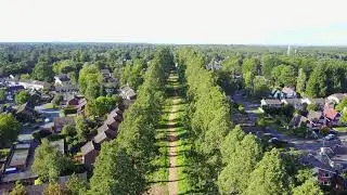 wellingtonia avenue Heatherside Camberley surrey uk