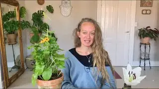 Dr&oslash;mmerejse. Den magiske have 🌸🥕🌿🌲