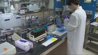 Study: Similar chemical exposure globally