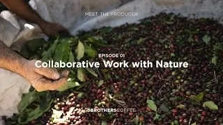 O Brasil do Café - Meet The Producer #1 - Sítio Pôr do Sol