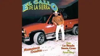 El Gallo de Sinaloa