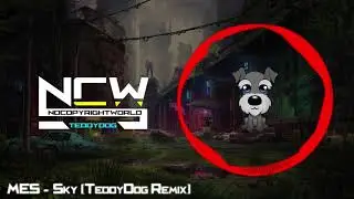 MES - Sky (TeddyDog Remix)