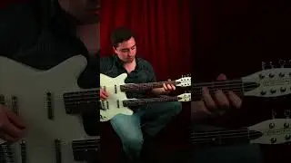 David Chubirka - Danelectro Double-neck