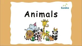 Cambridge English Starters | Animals | Flashcards | Basic Vocabulary | Pronunciation