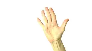 Senior Exercises | Hand Therapy | Hook Fist