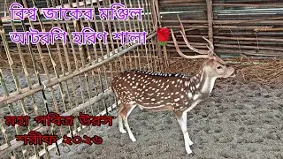 বিশ্ব জাকের মঞ্জিল আটরশি হরিণ শালা 🌹🌹 মহা পবিত্র উরস শরীফ ২০২৬ 