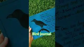 bird journal#birds #journal #projects #birds