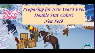Preparing for New Year's Eve!  Double Star Coins!  New Pet?  (SSO Update 12-30-2020)