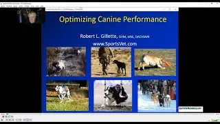 Optimizing Performance in the Dog: An Introduction to the Science of Canine Performance