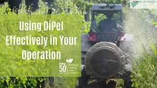 Using DiPel Effectively in Your Operation