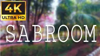 4K SABROOM KALAPANIA PARK CINEMATIC VIEW | 4K video