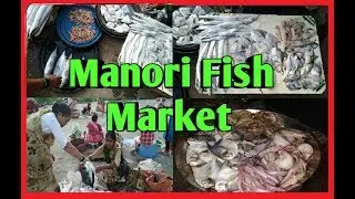मनोरी चा मच्छी मार्केट / Manori Fish Market - Malad West