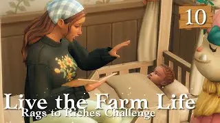 Taking a Racoon to the Vet 🐔 Live the Farm Life Challenge Ep. 10