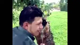 The sign of ALLAH