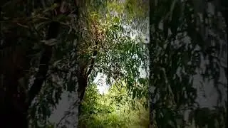 campsite #viral #trending #youtubeshorts #viralvideo #travel #like