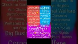 Conservative VS Liberals (Compare & Contrast Beliefs Policies) Libertarian NOT Republican