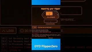 FLIPPER ZERO DYD #ethicalhacking #esphack #arduino #programming
