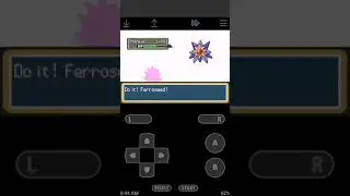 Pokemon inflamed red (part 13) - Cerulean City Gym leader Battle