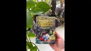 Essential Oils and Gemstone Guardians Cards - Mini Deck Review