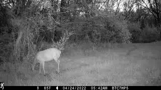 Browning Recon Force Elite HP5 Night Video
