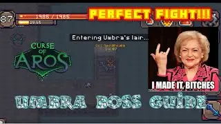 Curse of Aros Umbra Guide Perfect Umbra Fight