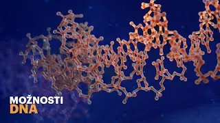 Vědci z &Uacute;stavu organick&eacute; chemie a biochemie posouvaj&iacute; limity DNA
