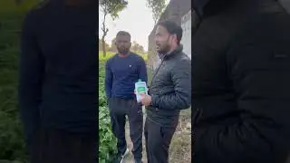 Vestige agri products benefits in Potato Farming in Agra