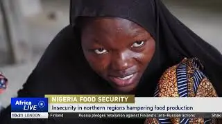FAO says at least 27 million people in Nigeria likely to experience hunger in 2024